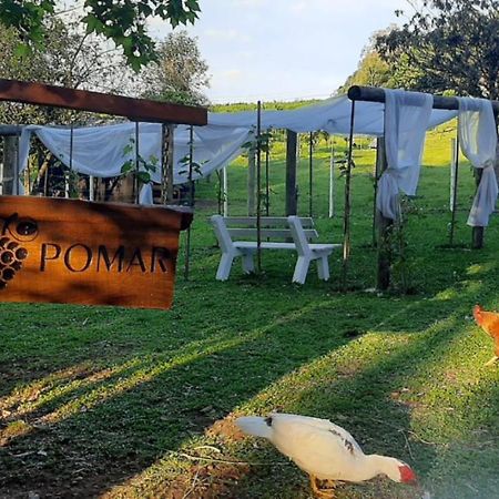 Casa Na Arvore Com Hidro, Piscina, Trilha, Cavalo Bento Gonçalves Εξωτερικό φωτογραφία