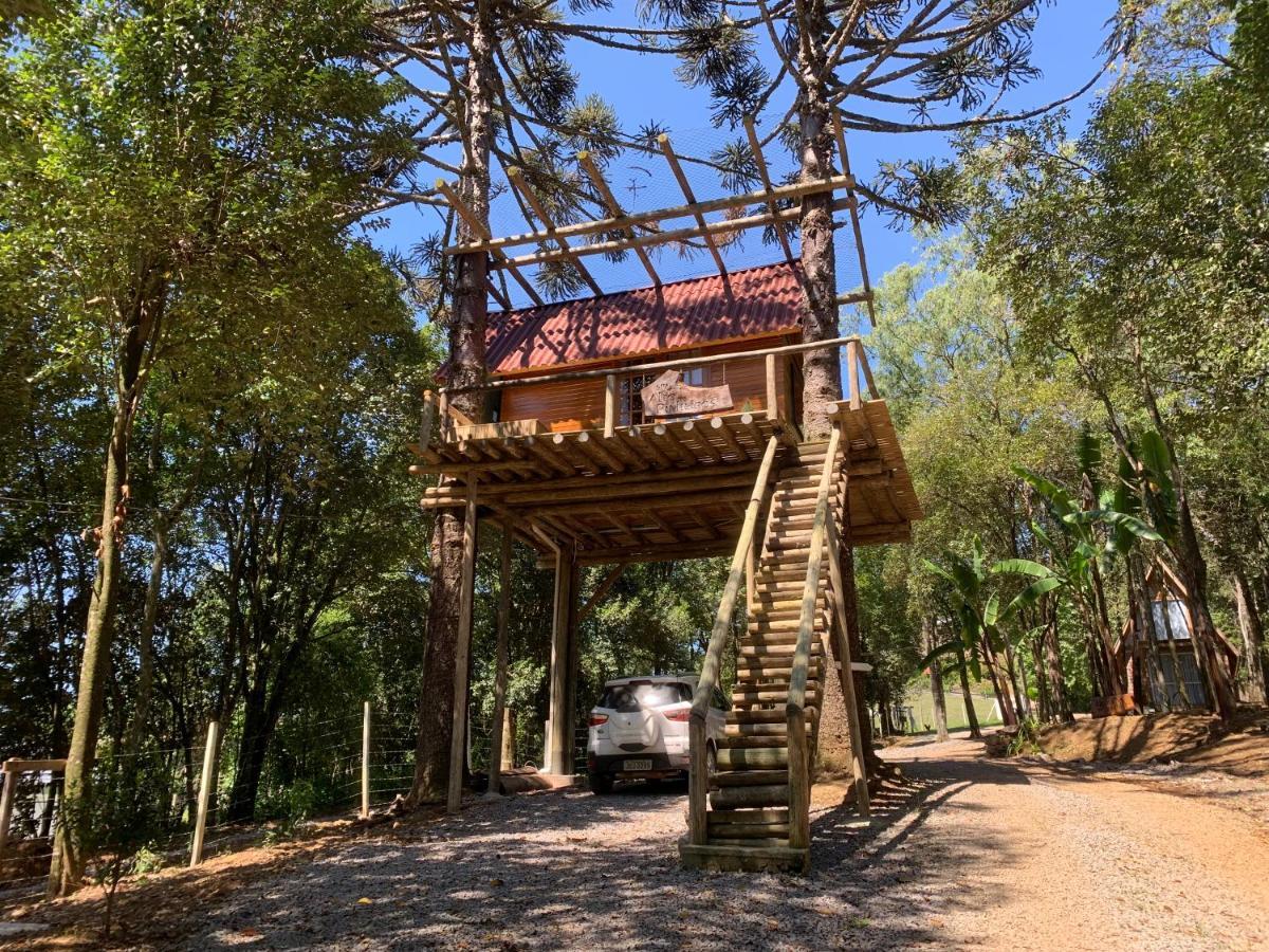 Casa Na Arvore Com Hidro, Piscina, Trilha, Cavalo Bento Gonçalves Εξωτερικό φωτογραφία