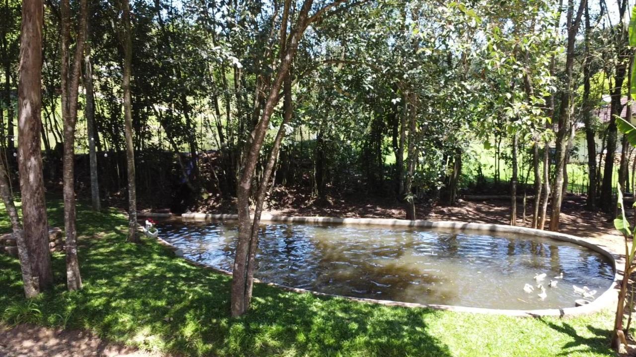 Casa Na Arvore Com Hidro, Piscina, Trilha, Cavalo Bento Gonçalves Εξωτερικό φωτογραφία