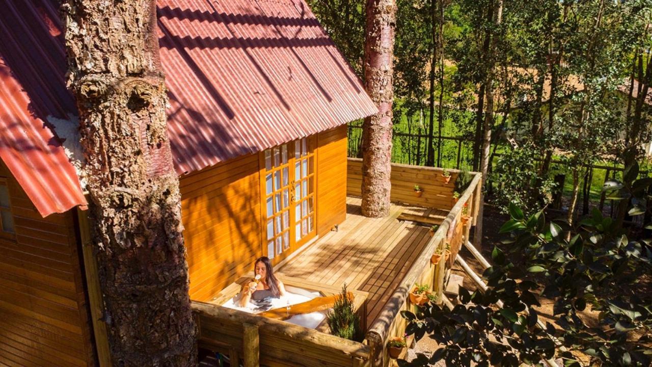 Casa Na Arvore Com Hidro, Piscina, Trilha, Cavalo Bento Gonçalves Εξωτερικό φωτογραφία