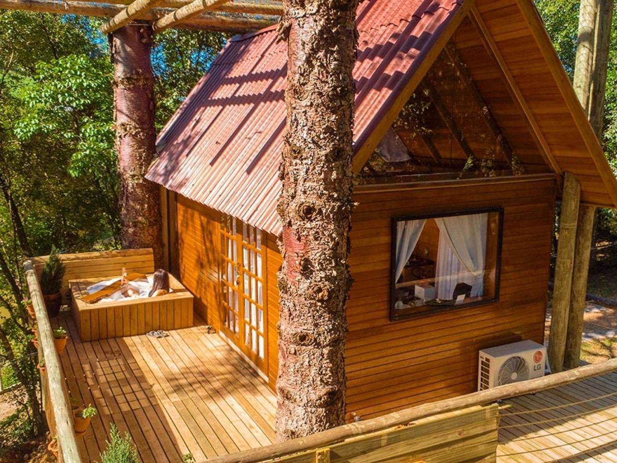 Casa Na Arvore Com Hidro, Piscina, Trilha, Cavalo Bento Gonçalves Εξωτερικό φωτογραφία