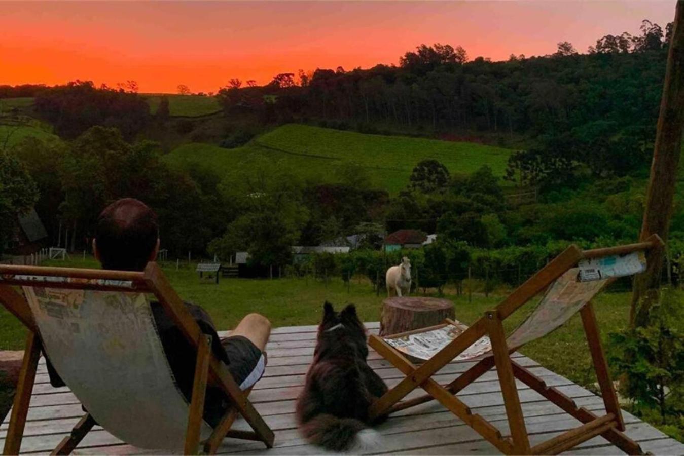 Casa Na Arvore Com Hidro, Piscina, Trilha, Cavalo Bento Gonçalves Εξωτερικό φωτογραφία