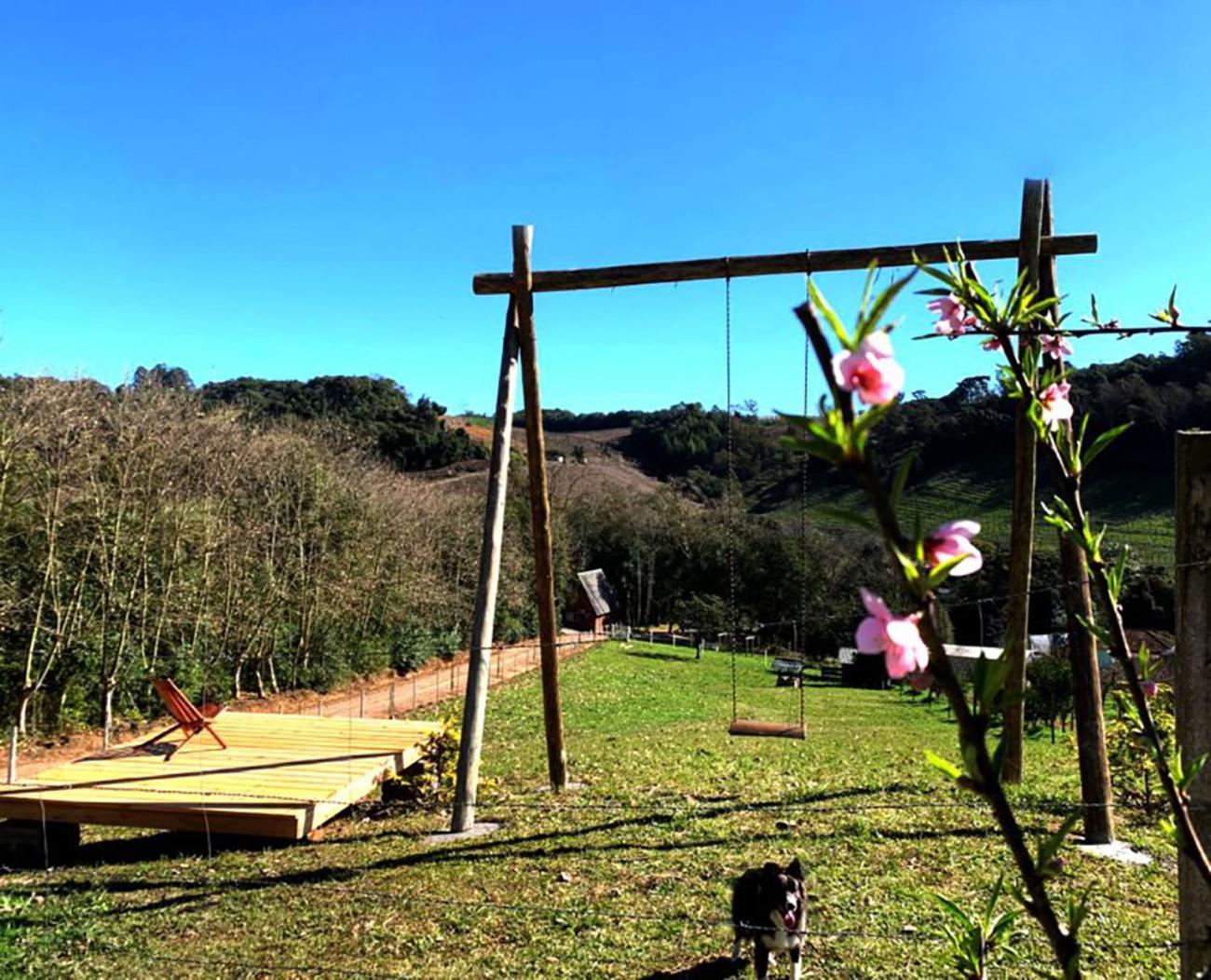 Casa Na Arvore Com Hidro, Piscina, Trilha, Cavalo Bento Gonçalves Εξωτερικό φωτογραφία