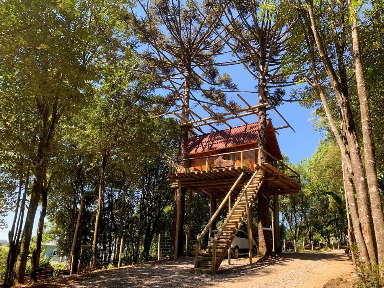 Casa Na Arvore Com Hidro, Piscina, Trilha, Cavalo Bento Gonçalves Εξωτερικό φωτογραφία